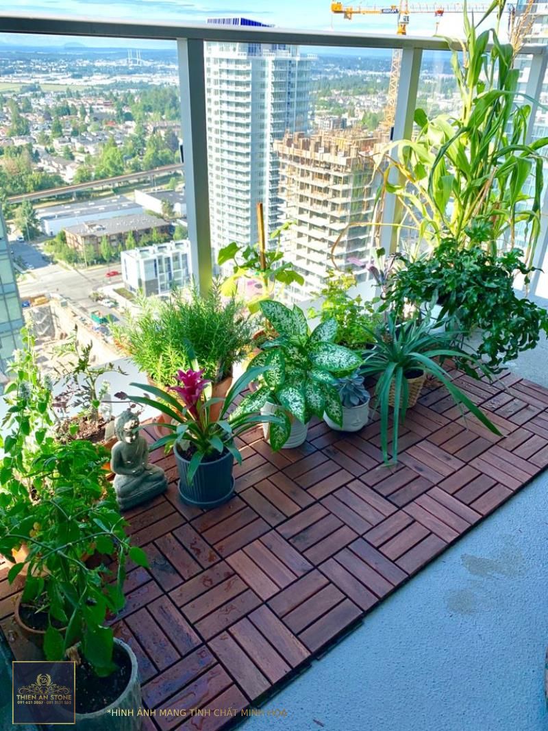 Balcony Garden - Sustainable garden in a small space - Tiffy Cooks