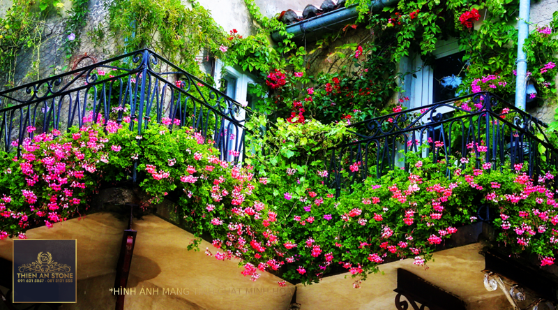 Gardening Without a Garden? 5 Ideas for Balcony Gardens - Fenesta