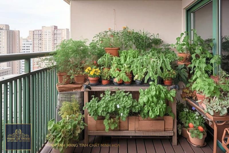 Ask the Plant Doctor: How to maintain a thriving balcony garden | The Star