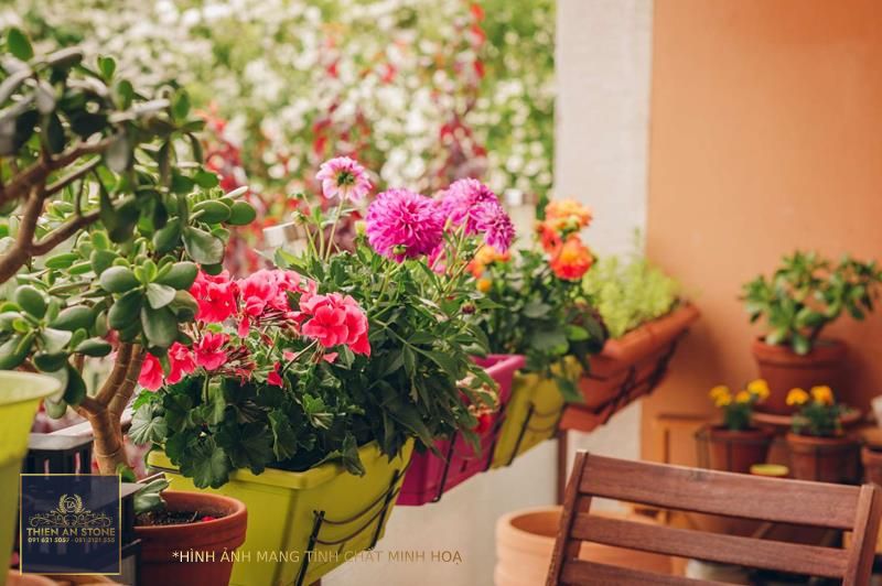 15 Best Balcony Plants