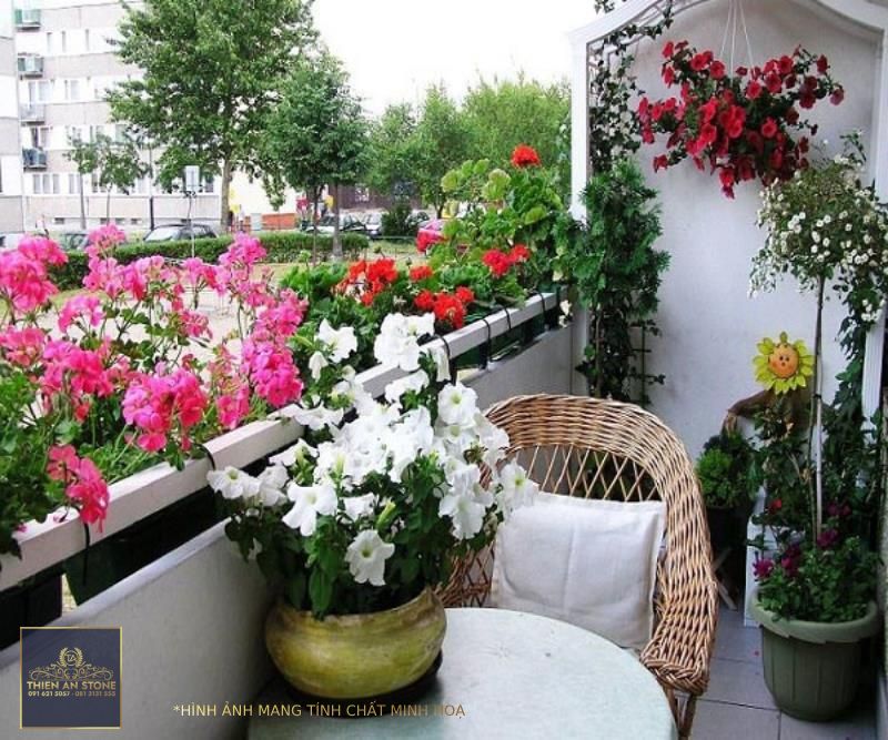Best plants to decorate your balcony - Ideas by Mr Right