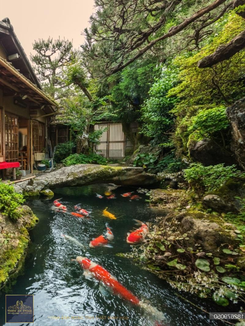 A Beautiful Japanese KOI Pond | Garden pond design, Japanese garden  landscape, Koi pond design