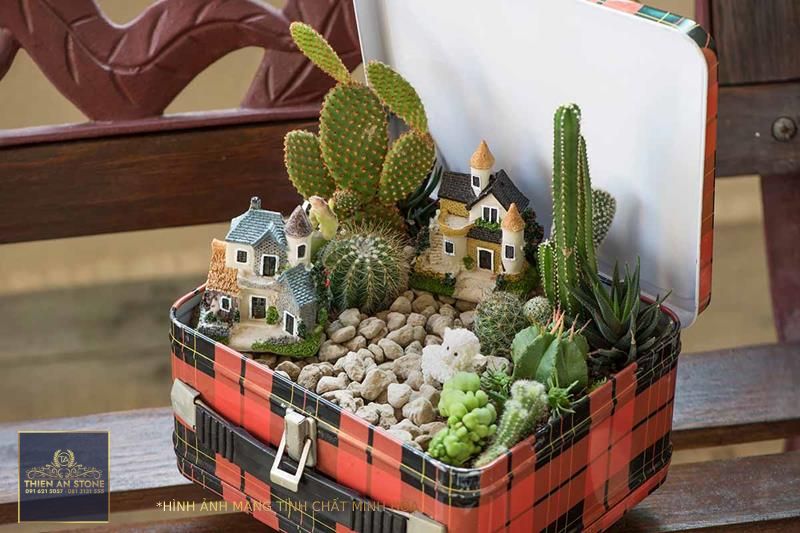 How to Create a Succulent Fairy Garden | Gardener's Path