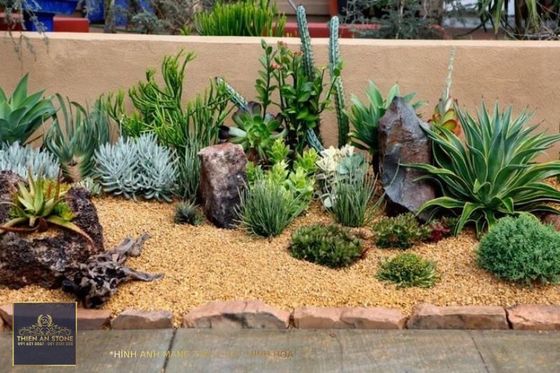 34 Sharp Cactus Garden Ideas | Rock garden landscaping, Succulent  landscaping, Succulent landscape design