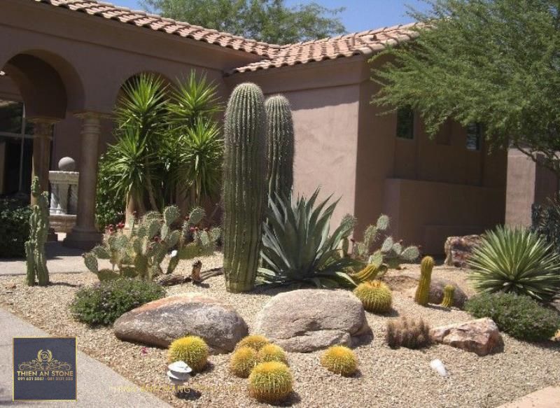 47 The Best And Stunning Front Yard Design - Matchness.com | Succulent  landscape design, Arizona backyard landscaping, Desert landscape design