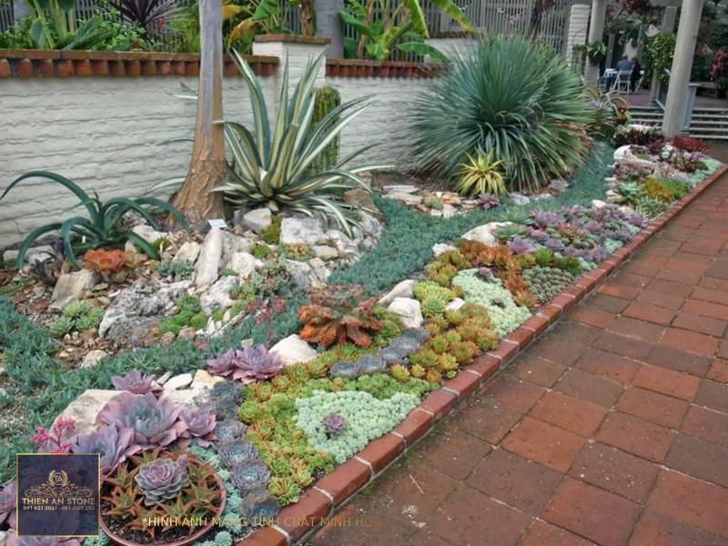 How to Plant an Outdoor Succulent Garden - World of Succulents