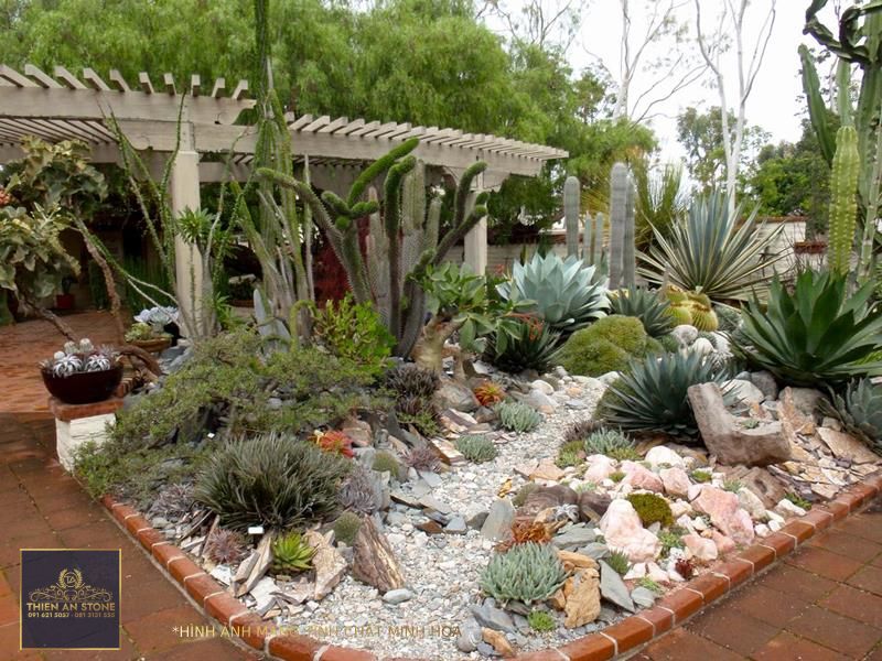 READER PHOTOS! A gem of a succulent garden - FineGardening