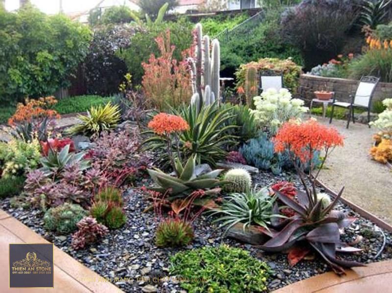 BEST SUCCULENT GARDEN DESIGN IDEAS 93 | Succulent garden landscape,  Succulent garden outdoor, Xeriscape landscaping