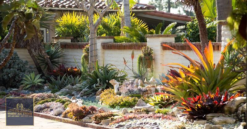 Sherman Gardens Succulent Tapestry and Courtyard | Succulents and Sunshine