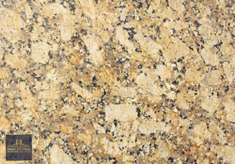 Đá Granite Vàng ấn độ Khám phá vẻ đẹp và sự đa dạng của loại đá này