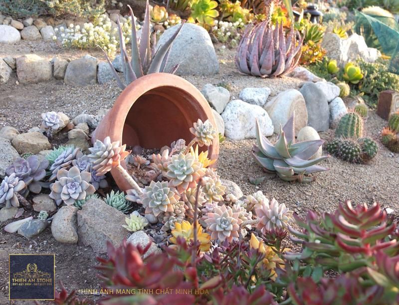 30 Succulent Garden Ideas for a Stunning Outdoor Oasis | Decoist