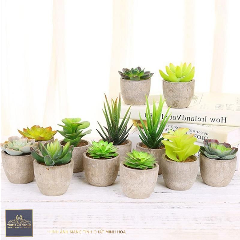 For Decorating Small Pots Maintenance Free Artificial Mini Succulent Plant,  For Home Decor