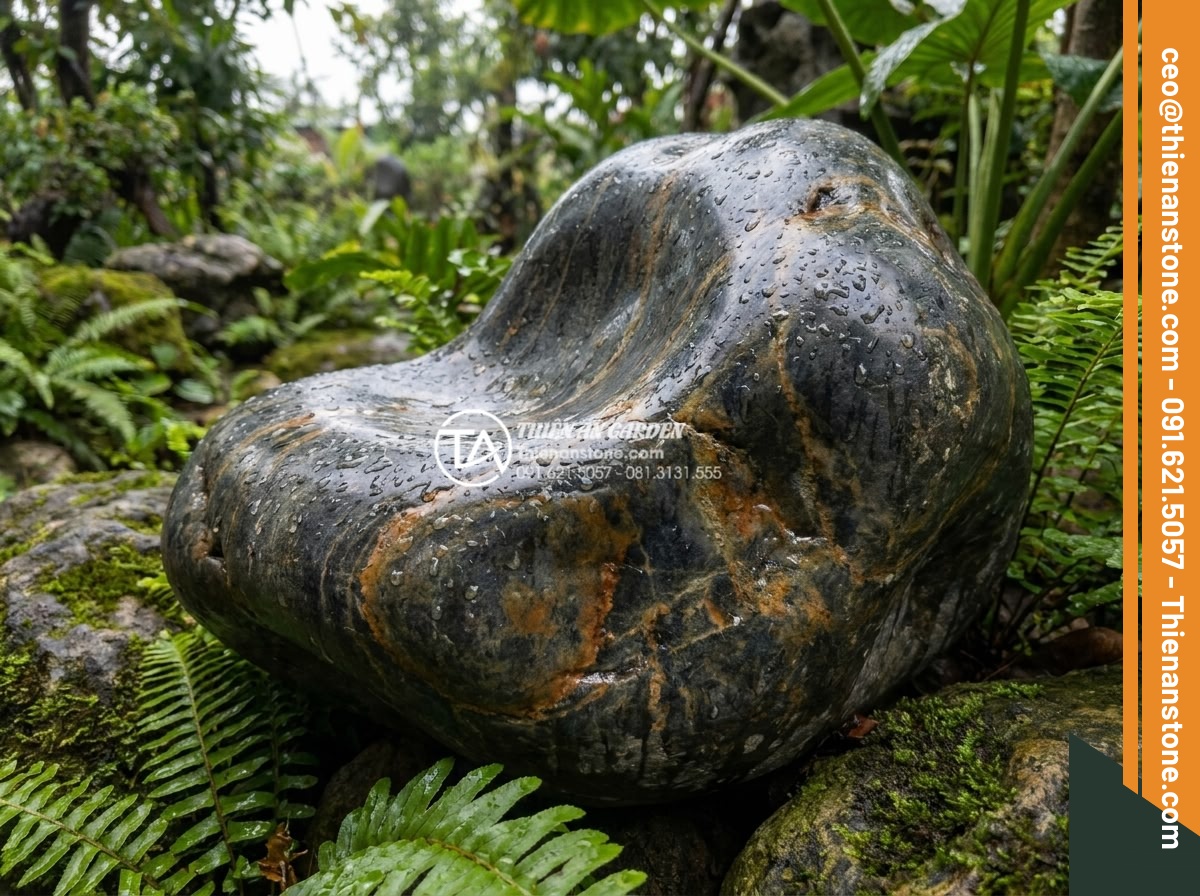 Đá Cảnh Tự Nhiên - Natural ornamental stone in a garden after rain, wet surface revealing deep vein