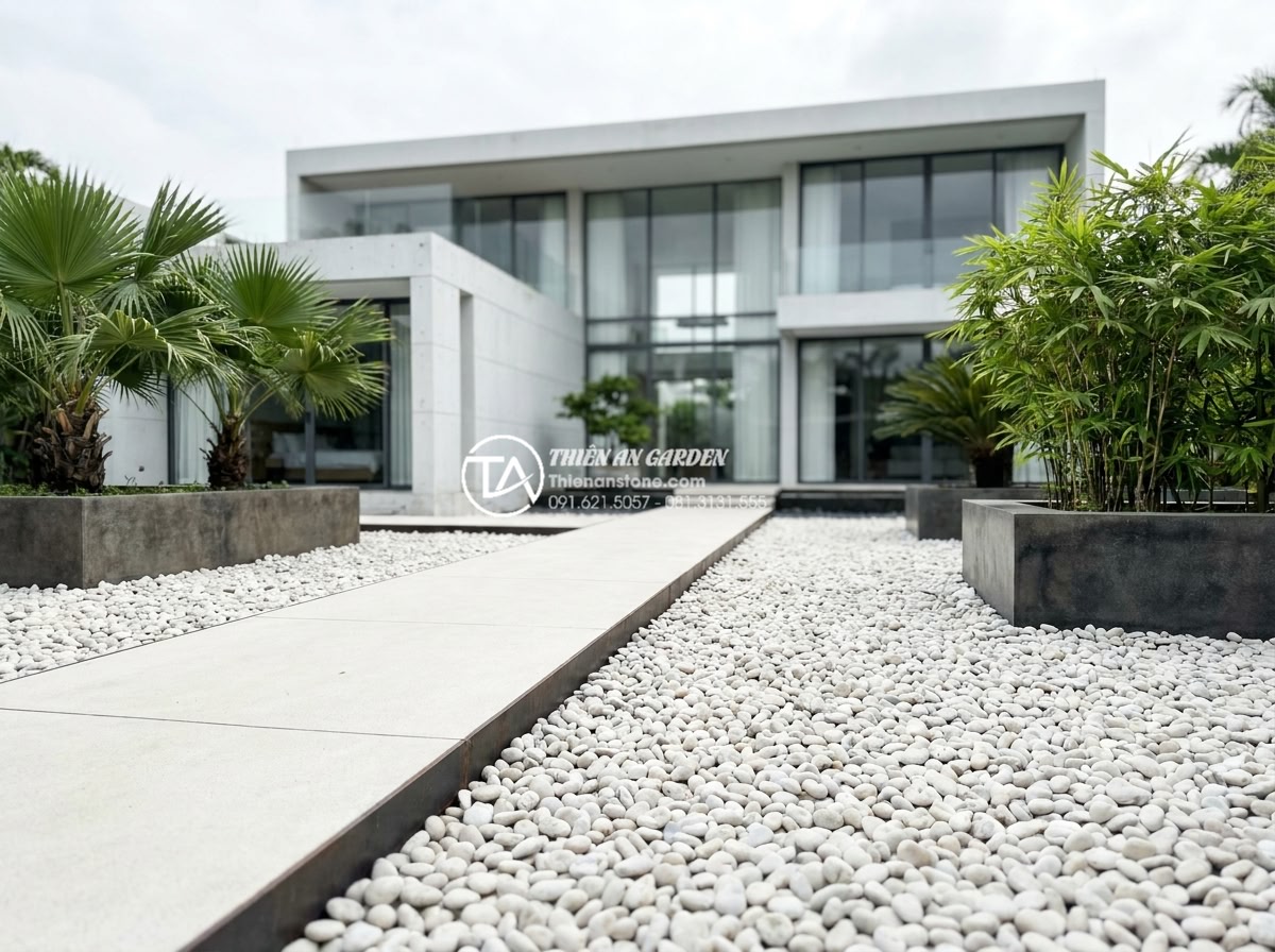 Đá Cuội Suối - Minimalist modern garden with monochrome white river pebbles, clean concrete pat