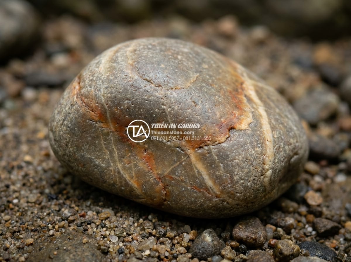 Đá Cuội Suối - Extreme close-up of a single smooth river pebble showing natural vein patterns a