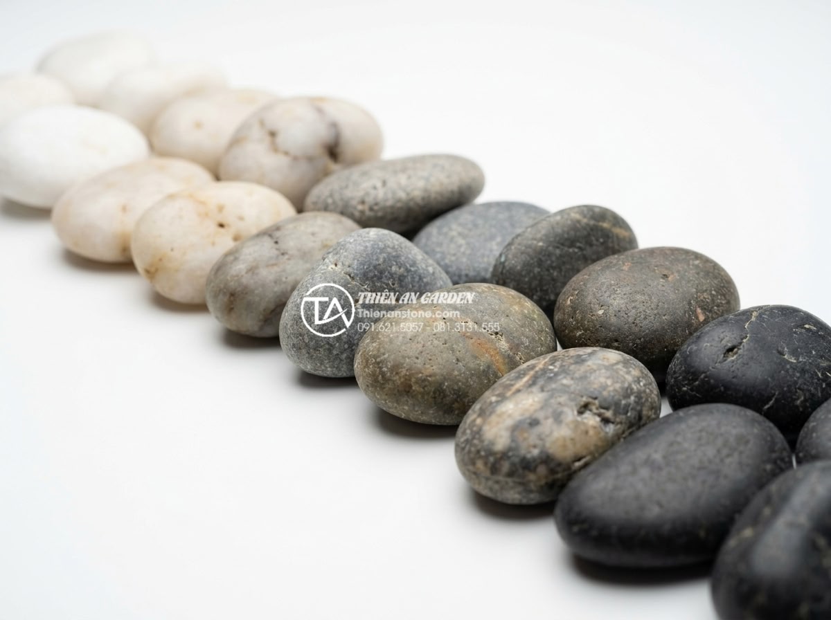 Đá Cuội Suối - Assorted river pebbles displaying full color range from pure white to charcoal b
