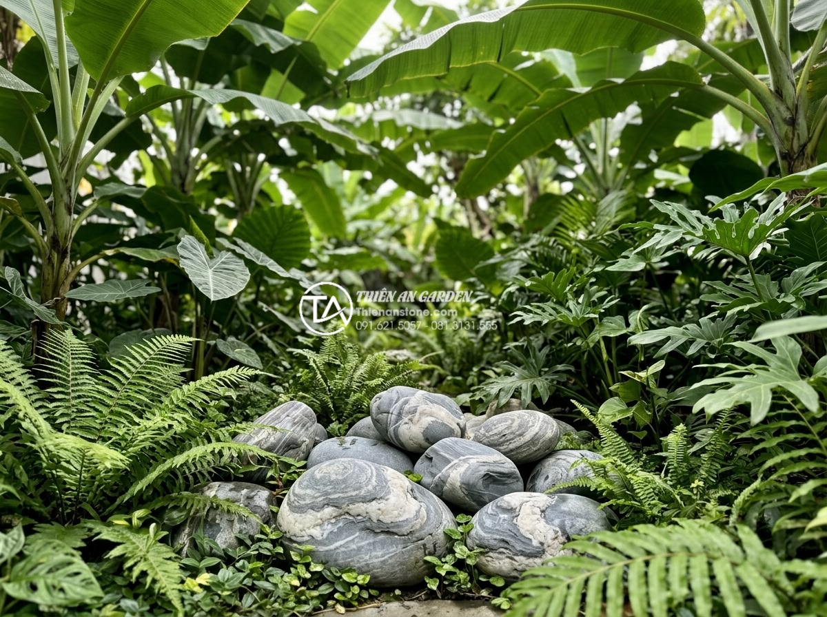 Đá Cuội Vân Mây - Cloud vein pebble stones surrounded by various tropical plants, large banana lea