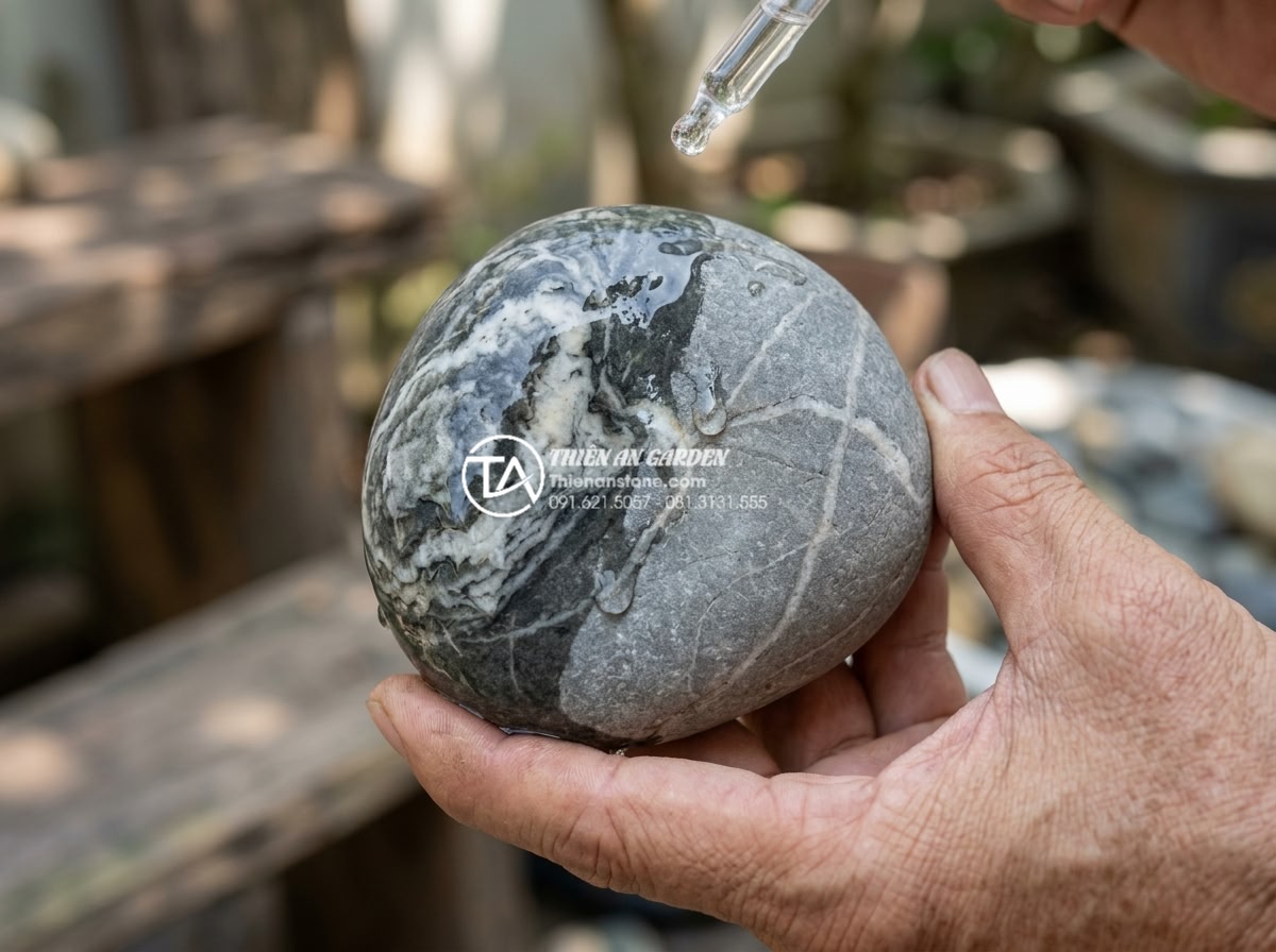 Đá Cuội Vân Mây - Close up of hand holding cloud vein pebble stone testing with water droplets, sh
