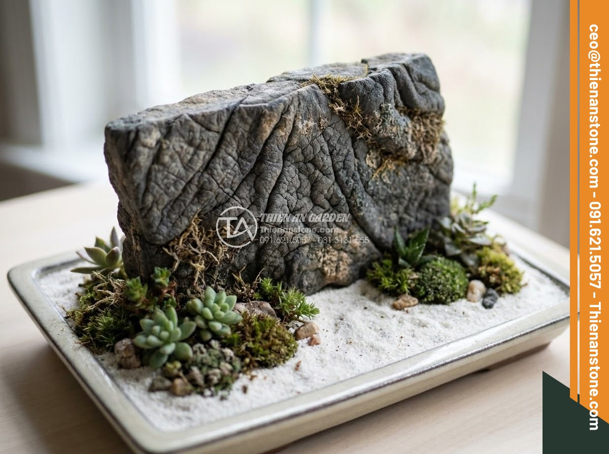 Đá Da Voi Làm Tiểu Cảnh - Thin slab elephant skin stone piece arranged in a small bonsai dish garden with 