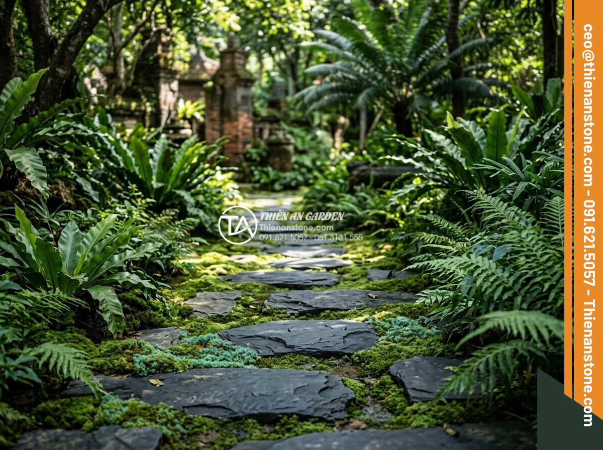 Đá Dặm Bước - Blue-green natural stepping stones pathway in tropical garden, moss growing betw