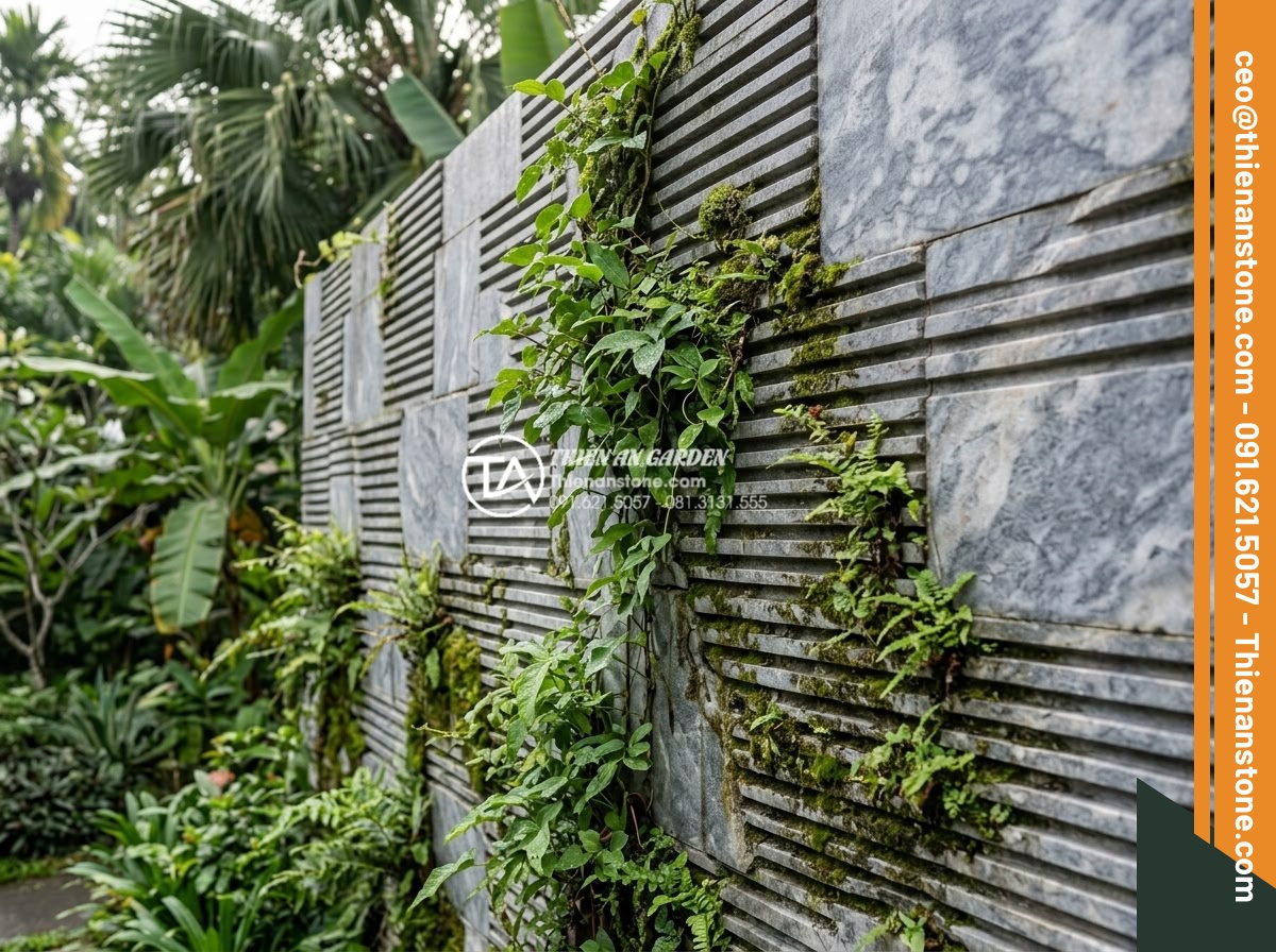 Đá Răng Lược - Hình 33 Đá Răng Lược - Comb stone wall with climbing green plants growing naturally between stone strip