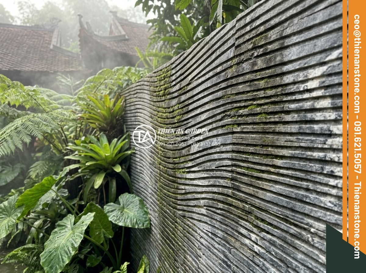 Đá Răng Lược - Hình 40 Đá Răng Lược - Aged comb stone wall after several years, beautiful natural patina with subtle m