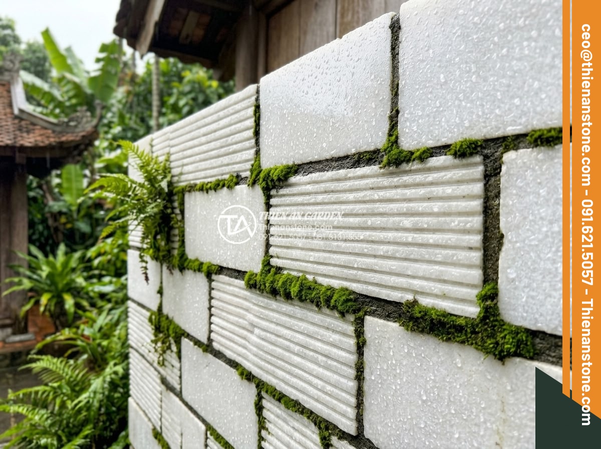 Đá Răng Lược - Hình 9 Đá Răng Lược - Natural comb stone wall cladding after rain, water droplets on stone surface, we