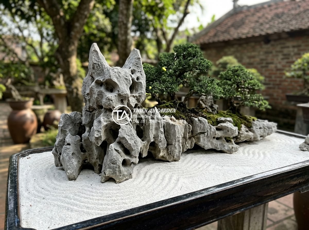 Đá Tai Mèo Làm Bonsai - Horizontal cat ear stone arrangement in long rectangular bonsai tray, stone rese
