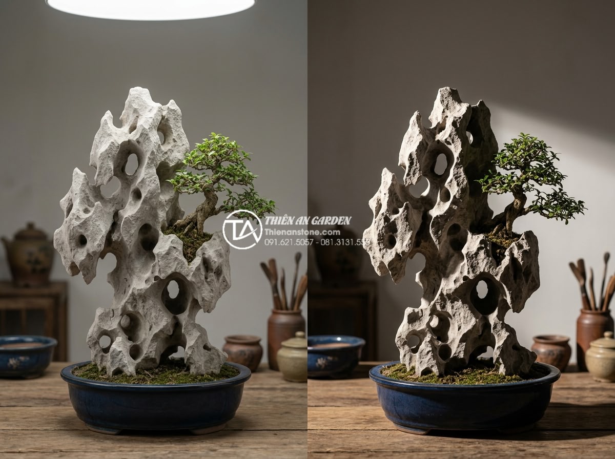Đá Tai Mèo Làm Bonsai - Lighting comparison on cat ear stone bonsai, side by side showing flat overhead 