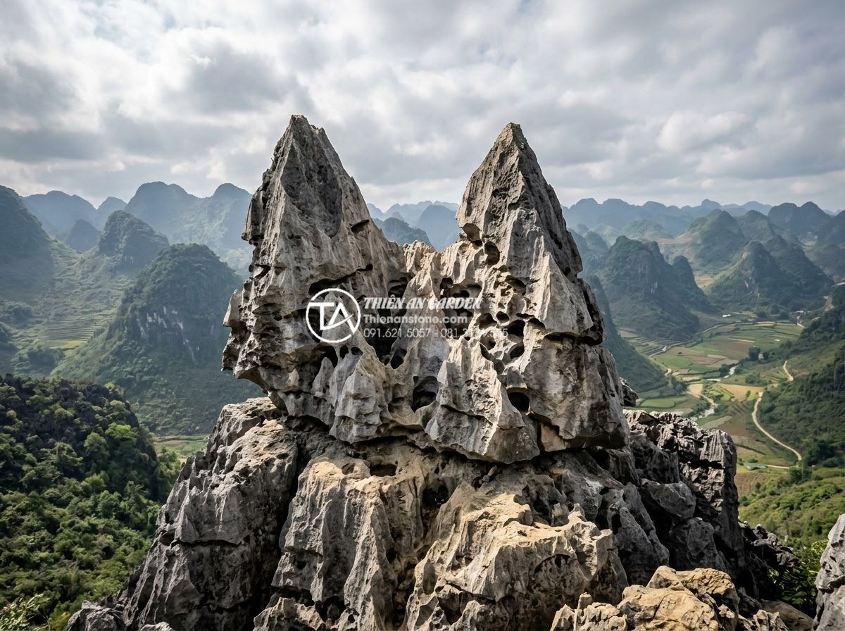 Đá Tai Mèo Làm Bonsai - Natural geological formation of cat ear stone in its original mountain environme