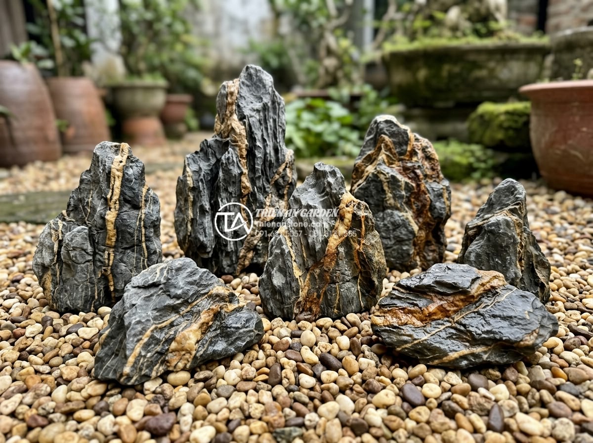 Đá Trầm Tích - Collection of sedimentary rocks in various earth tones from cream to deep brown 