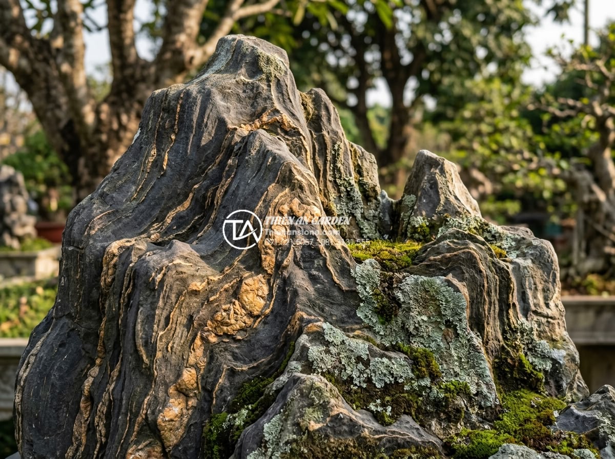 Đá Trầm Tích - Aged sedimentary rock with natural moss and lichen growing on surface layers, cr