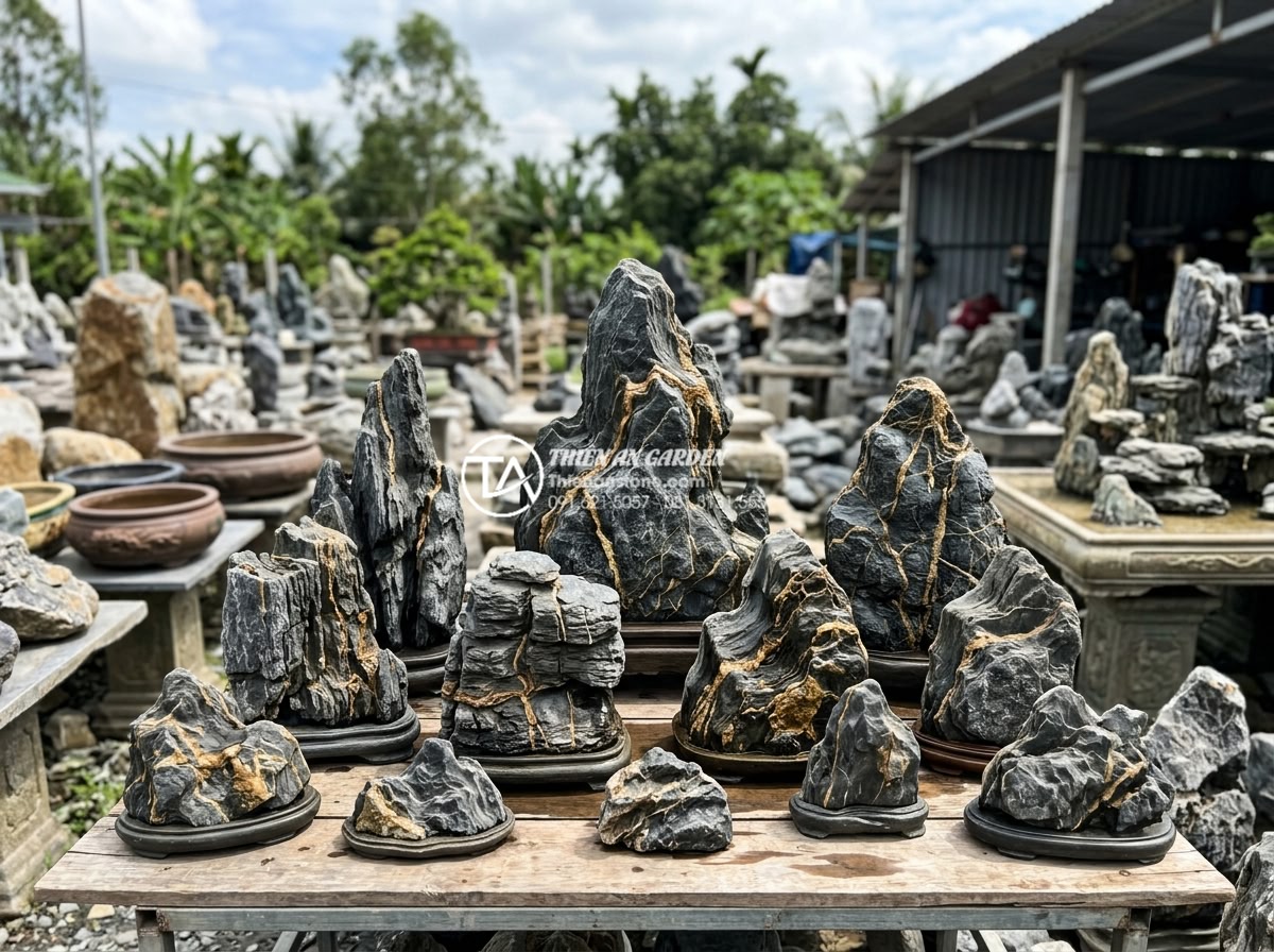 Đá Trầm Tích - Various types of sedimentary rocks displayed together showing different colors a