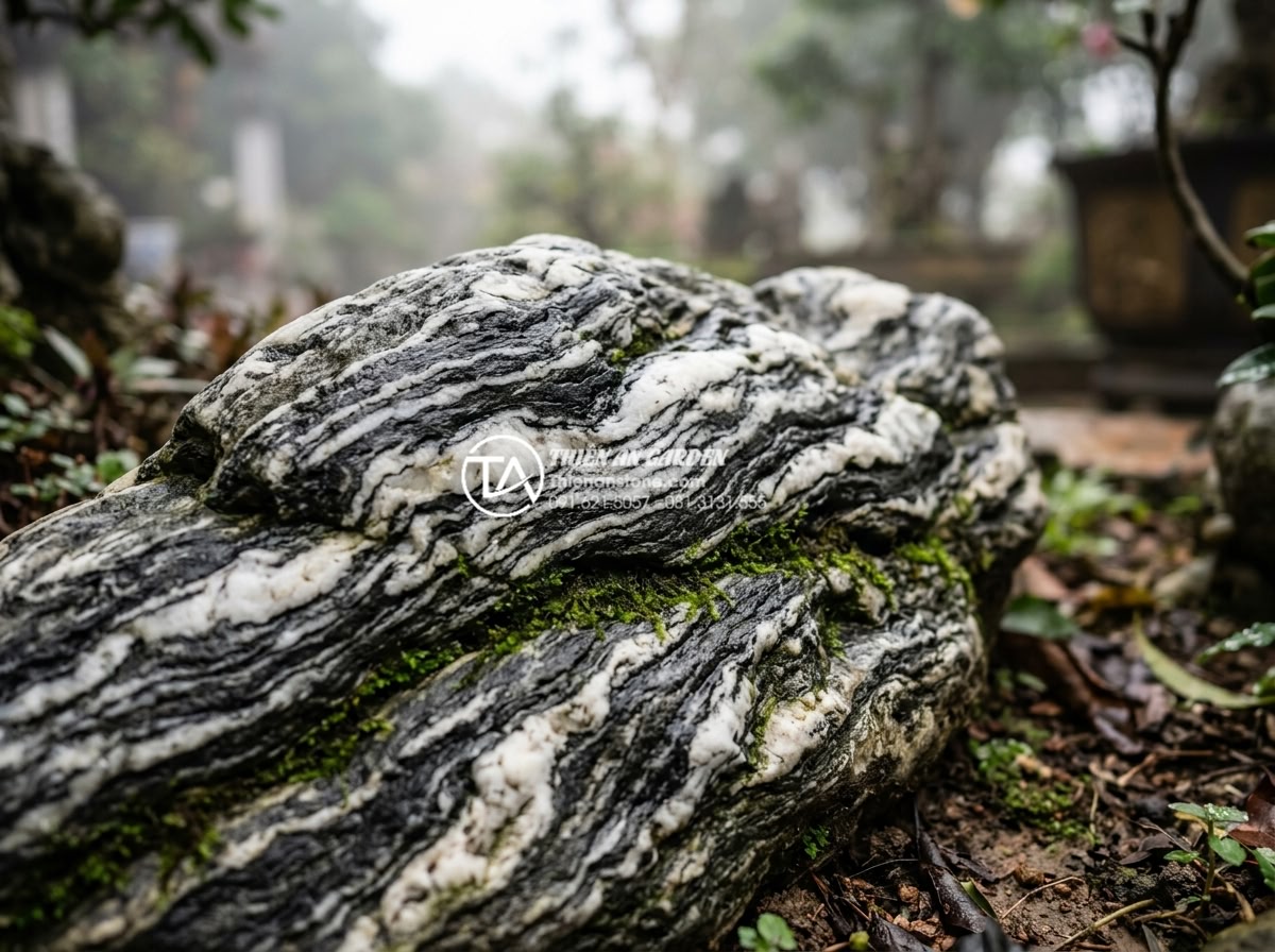 Đá Tuyết Sơn - Hình 10 Đá Tuyết Sơn - Aged Tuyet Son stone with natural patina, thin moss layer growing in crevices, p