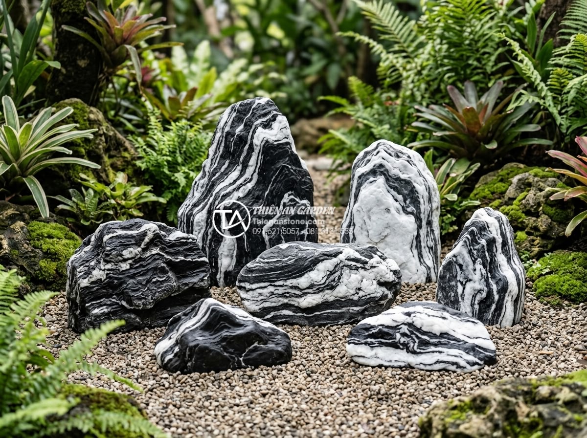 Đá Tuyết Sơn - Hình 24 Đá Tuyết Sơn - Side by side comparison display of Tuyet Son stone, Co Thach stone, and Van May
