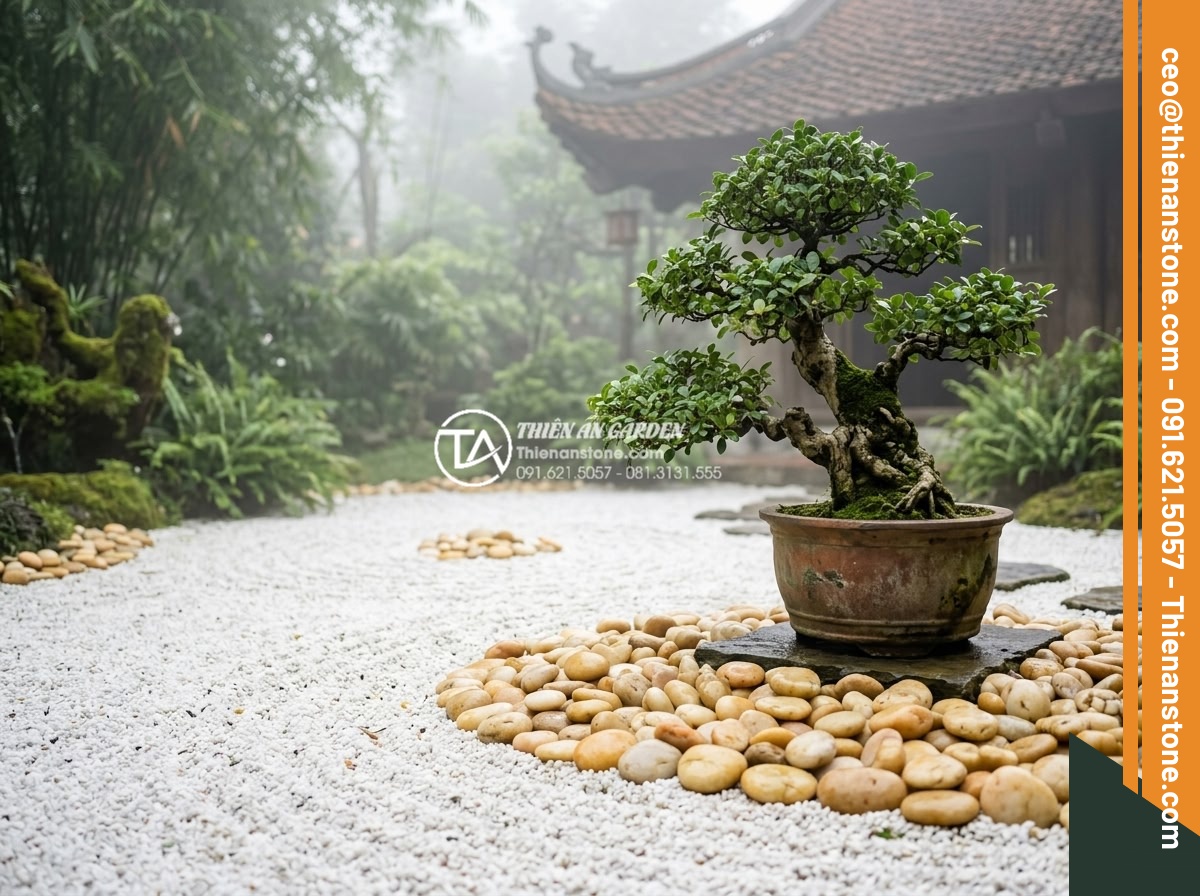Sỏi Rải Sân Vườn - Hình 40 Sỏi Rải Sân Vườn - Serene meditation garden corner with white raked pebbles, single beautiful bonsa