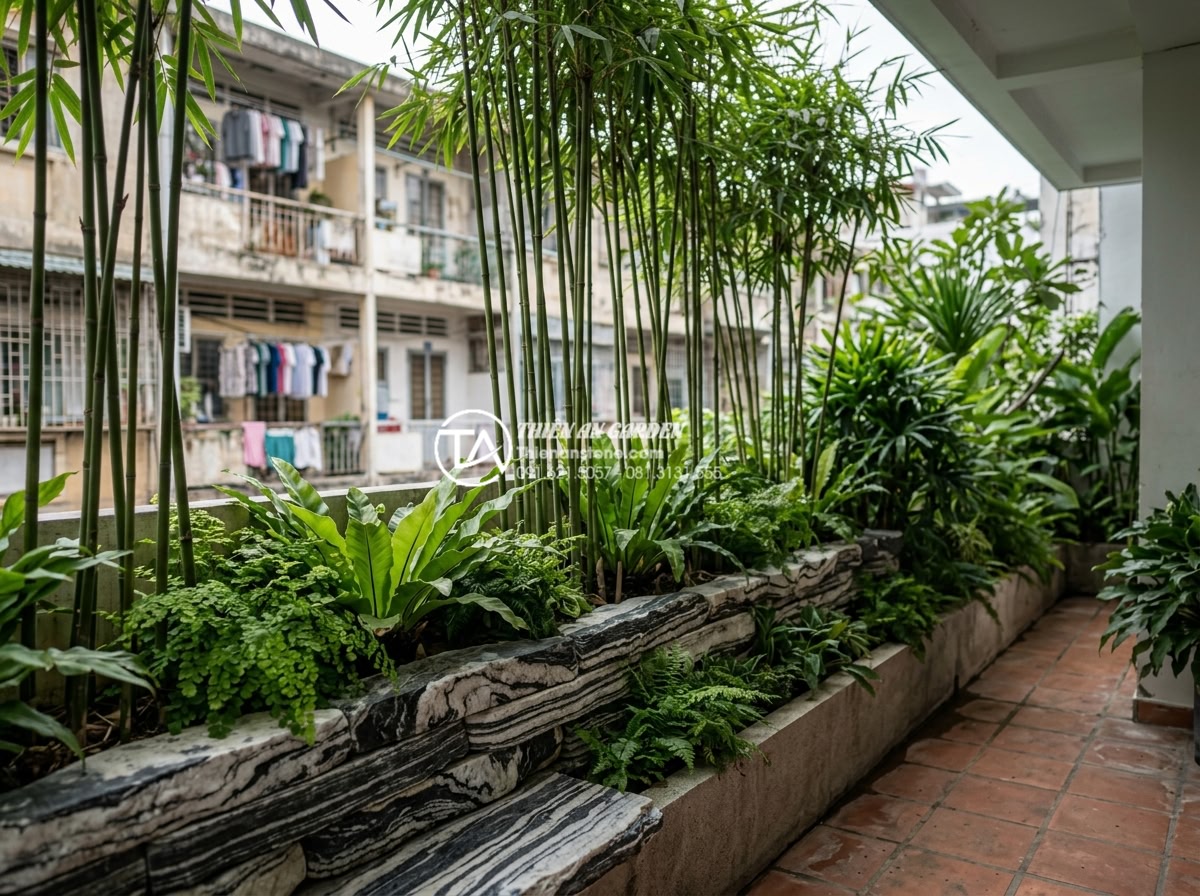 Tiểu Cảnh Ban Công - Privacy screening balcony garden with tall bamboo, stacked natural stones, dense