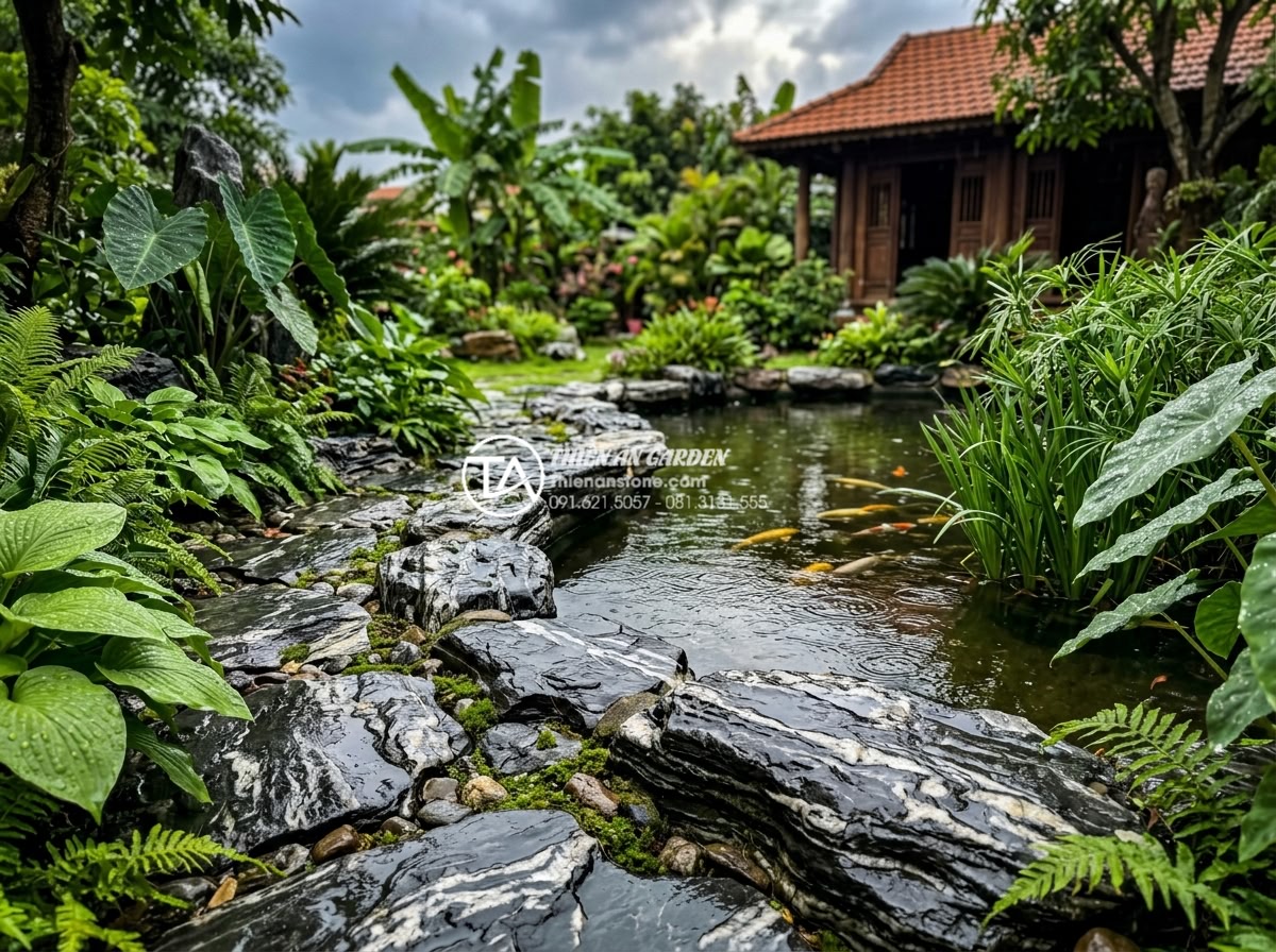 Tiểu Cảnh Bể Cá Sân Vườn - Garden fish pond after rain, wet glistening stones showing enhanced natural colo