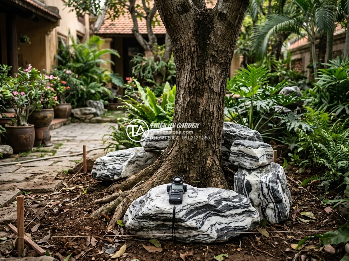 Tiểu Cảnh Cây Ôm Đá - Hình 20 Tiểu Cảnh Cây Ôm Đá - Professional landscape contractor surveying a garden site for tree-embracing-roc