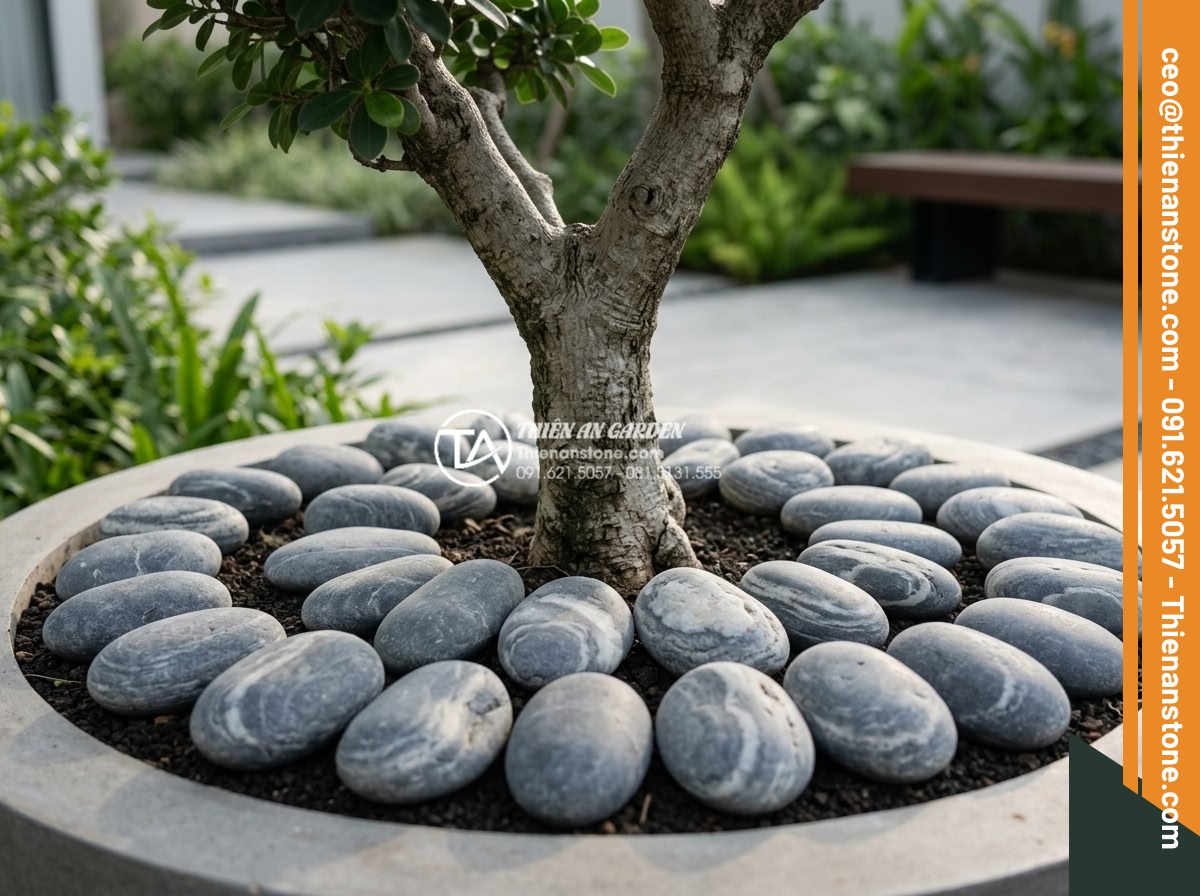 Tiểu Cảnh Đá Cuội - Close-up of white pebbles arranged around the base of an ornamental tree in a mo