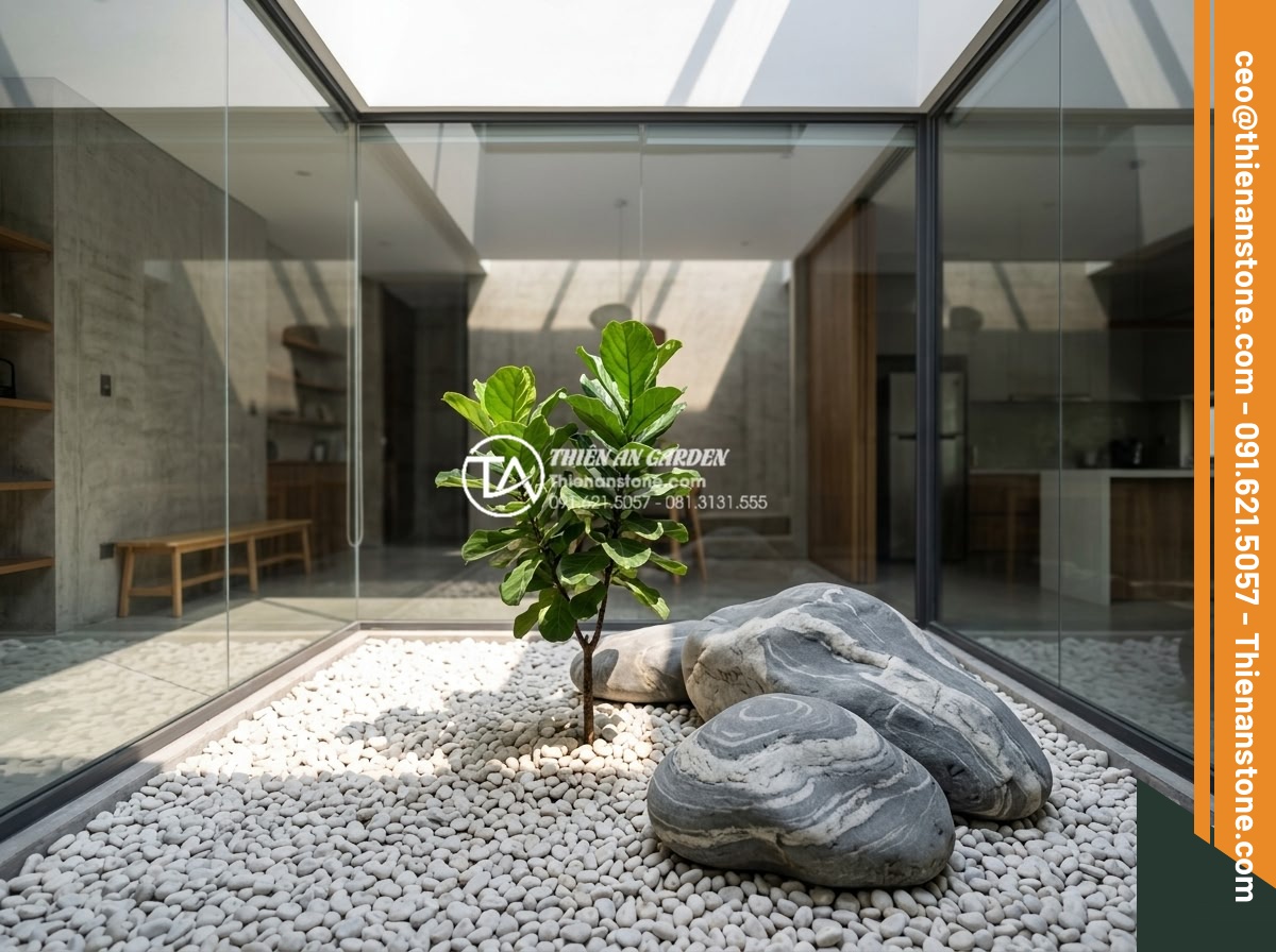 Tiểu Cảnh Đá Cuội - Interior light well courtyard with white pebbles and single green tropical plant