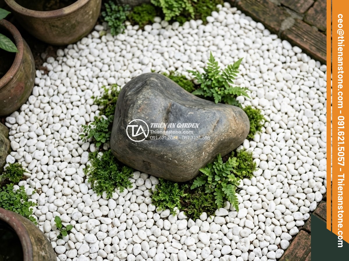 Tiểu Cảnh Đá Cuội - Pebble garden with clear focal point - a sculptural dark stone surrounded by car