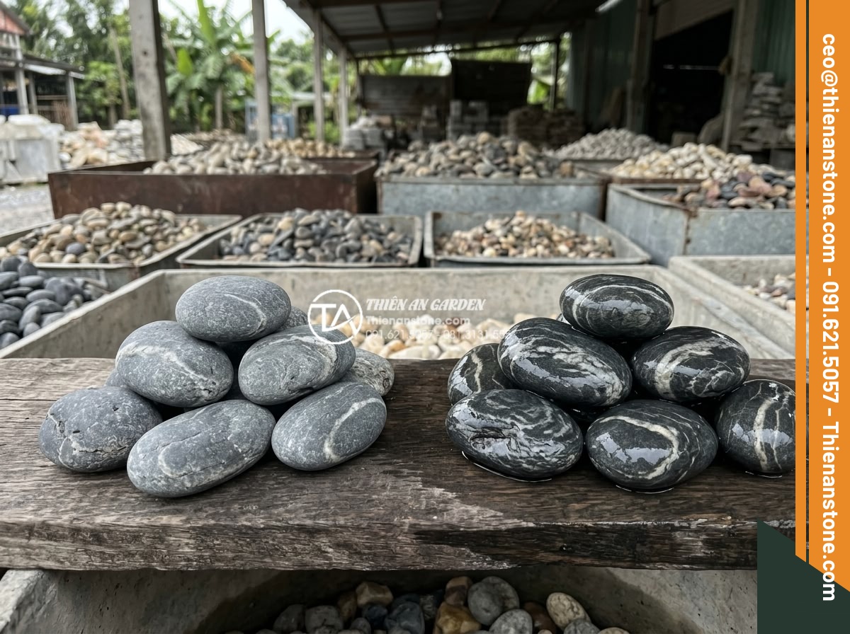 Tiểu Cảnh Đá Cuội - Homeowner examining wet and dry pebble samples side by side in a stone yard, com