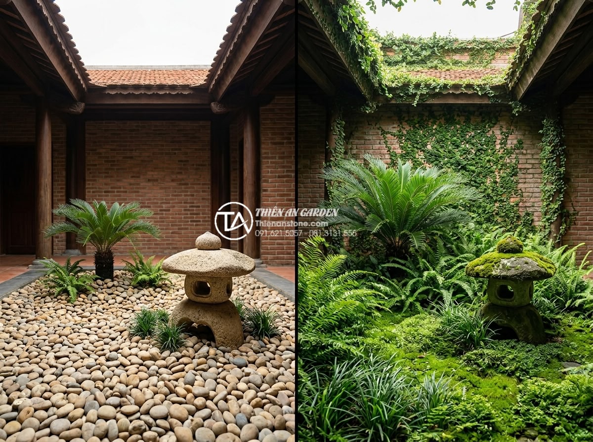 Tiểu Cảnh Giếng Trời - Before and after comparison of a skylight garden, just installed with sparse pla
