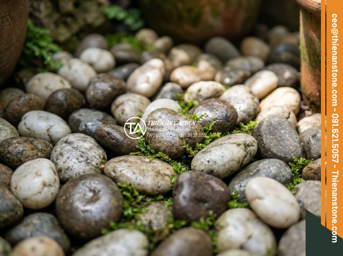 Tiểu Cảnh Góc Sân - Hình 14 Tiểu Cảnh Góc Sân - Close-up of smooth river pebbles arranged in a corner garden, varying colors fro
