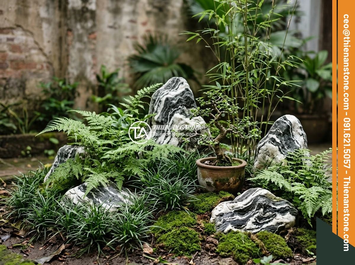 Tiểu Cảnh Góc Sân - Hình 21 Tiểu Cảnh Góc Sân - Variety of plants used in corner garden design - ferns, dwarf bamboo, mondo gras
