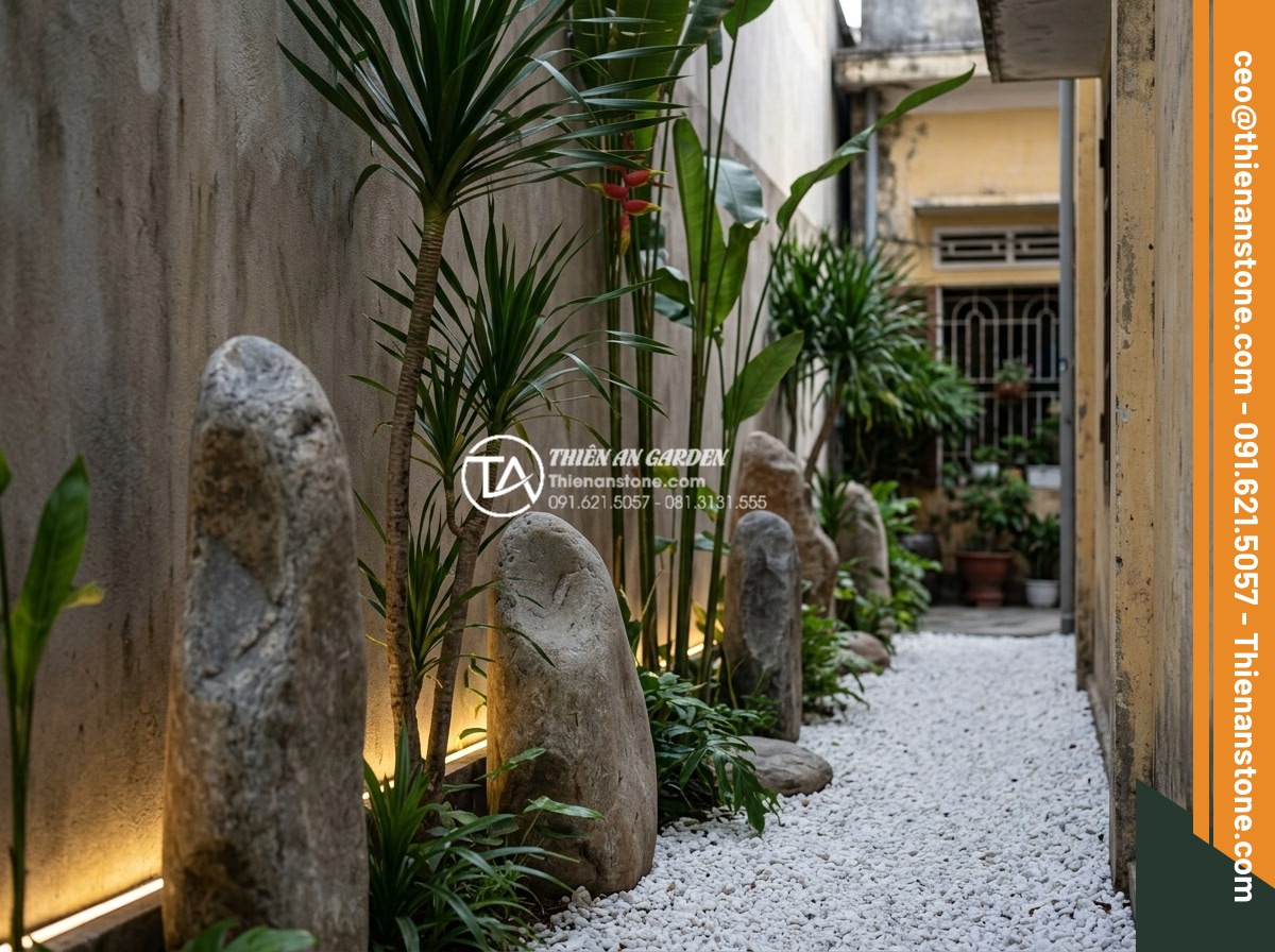 Tiểu Cảnh Góc Sân - Hình 30 Tiểu Cảnh Góc Sân - Narrow side passage of a townhouse transformed into a linear corner garden with