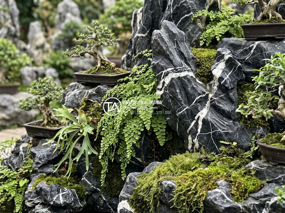 Tiểu Cảnh Non Bộ Sân Vườn - Garden rockery with carefully placed miniature bonsai trees, cascading ferns gro