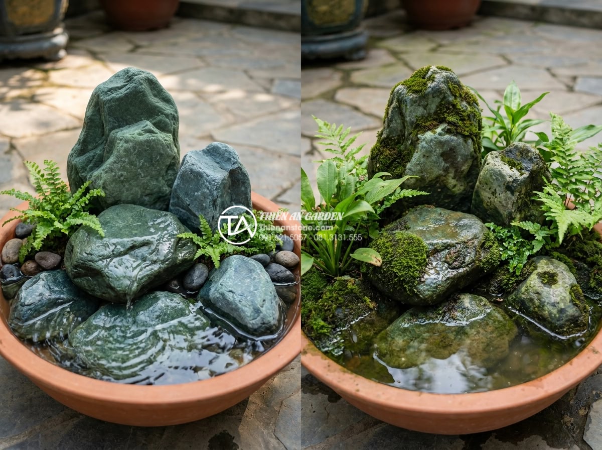 Tiểu Cảnh Nước - Hình 35 Tiểu Cảnh Nước - Comparison of newly installed water garden feature versus same feature after 6 m