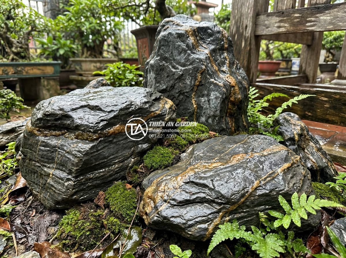 Tiểu Cảnh Sân Nhỏ - Ultra realistic photo of natural stones in a small garden after rain, wet stone 